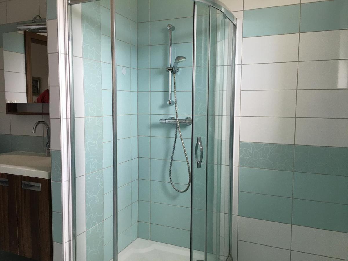 Apartman Krasna Vyhlidka Dolni Benesov Extérieur photo